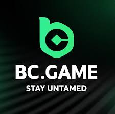 Explore the Thrills of BC.Game Online Casino Platform -152177702